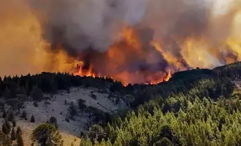 Incendios en la Patagonia: el Gobierno nacional finalmente declaró la emergencia ígnea en cuatro provincias