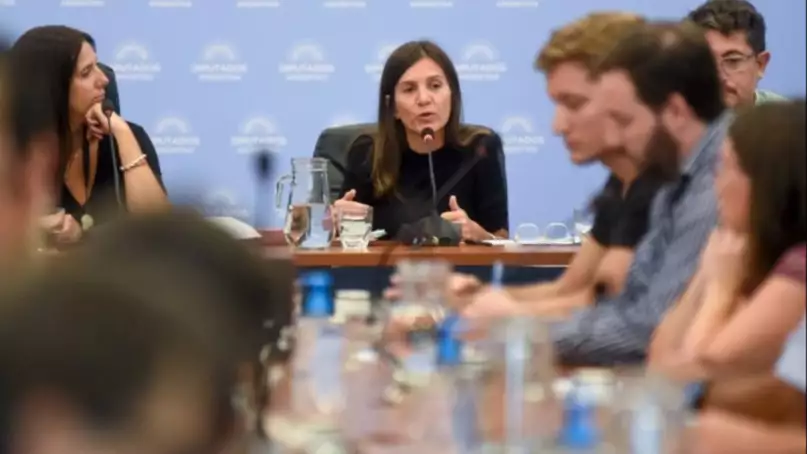 Raverta expuso en Diputados sobre el "Plan de pago de deuda previsional"