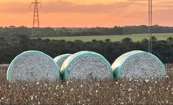 La crisis golpea al agro: una histórica empresa chaqueña entra en concurso por deudas millonarias