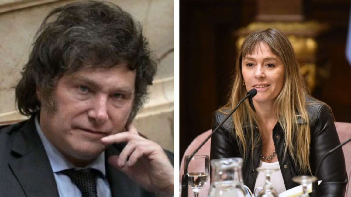 La fuerte respuesta de Di Tullio a Milei por los impuestos en la Provincia de Buenos Aires: "Deje en paz y respete al pueblo"
