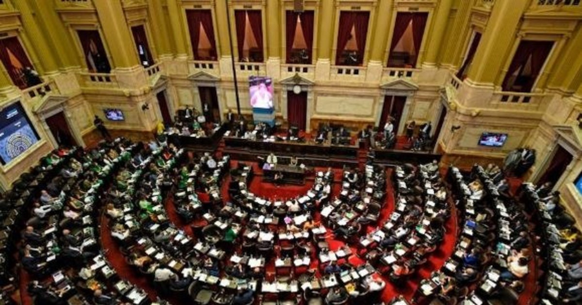 La Cámara De Diputados Le Dio Media Sanción Al Proyecto De Ampliación De Las Becas Progresar 8811