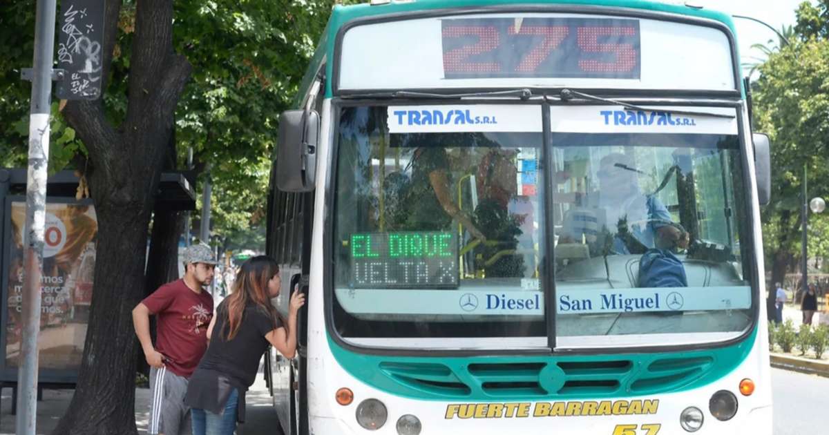 Micros reducirán frecuencias en La Plata desde el lunes por la crisis ...