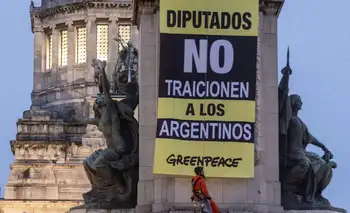 Ley de Glaciares: detuvieron a activistas de Greenpeace tras una manifestación en el Congreso contra la reforma