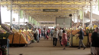 ¿Cómo funcionará el mecanismo de importación de alimentos desde el Mercado Central?