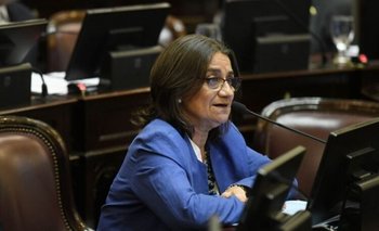 La senadora Corpacci se mostró en contra de la Ley Bases