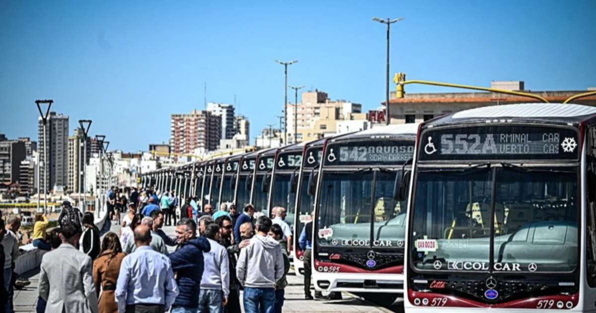 Paro de colectivos en Mar del Plata por tiempo indeterminado: los ...