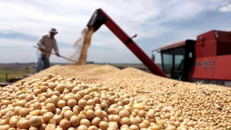 Precios: El gobierno cerró las exportaciones de aceite de soja y harina