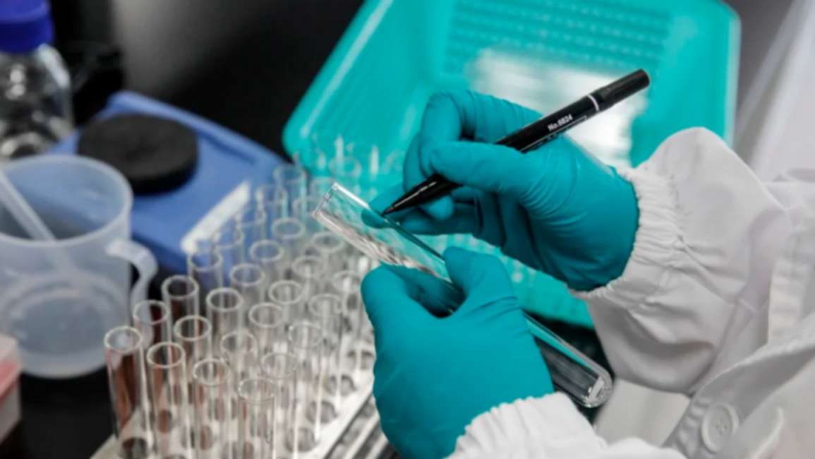 Detectan que la subvariante BA.2 de Ómicron es aún más contagiosa y analizan su letalidad