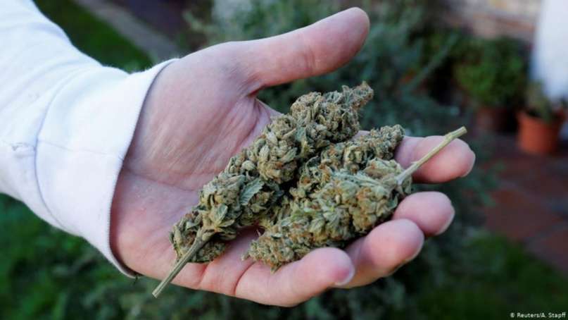 Legalización de la Marihuana: La postura de los diferentes candidatos en las PASO