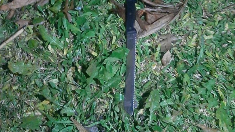 Chano Moreno Charpentier atacó a un policía con un cuchillo tras agredir a su madre: le dispararon y está en terapia intensiva