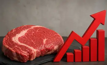 La carne subió 4,3% en mayo y explicó el 70% de la inflación en alimentos, según un informe privado