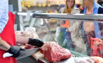 Consumo en caída: la demanda interna de carne vacuna cayó 11% en el primer semestre de 2026