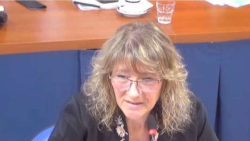 Representantes gremiales respaldaron el proyecto que crea el sistema integral de cuidados