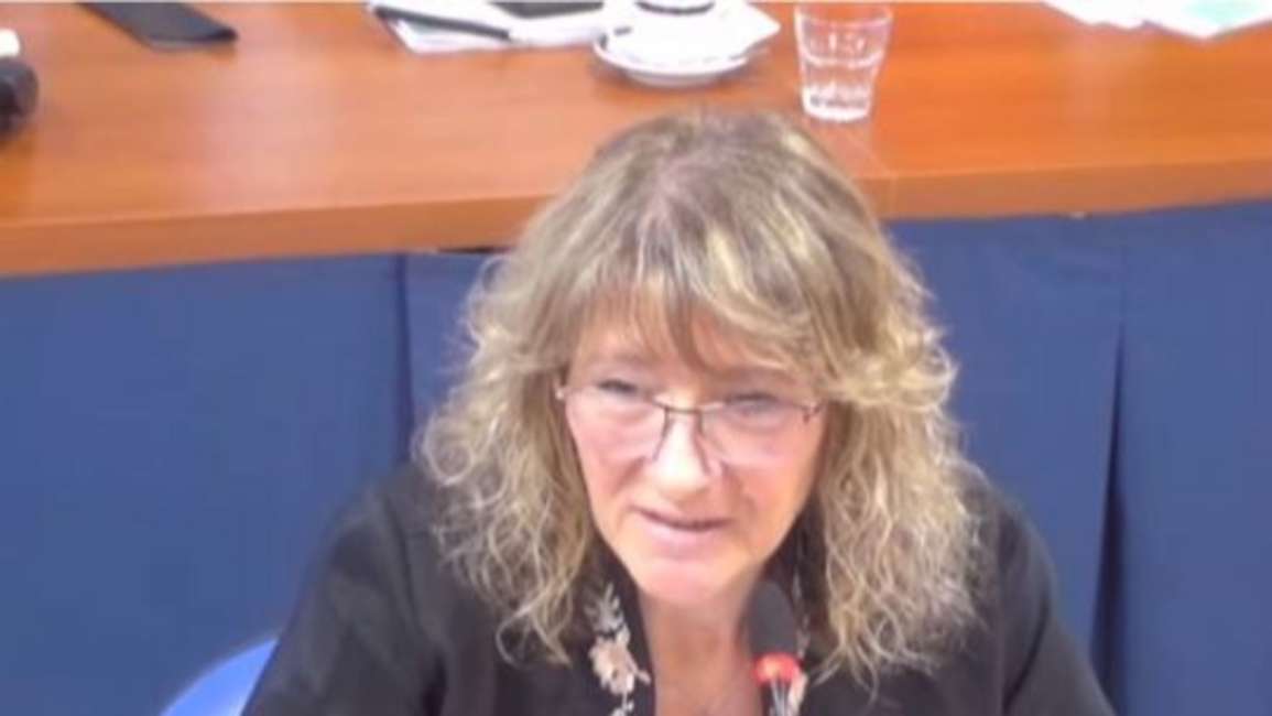 Representantes gremiales respaldaron el proyecto que crea el sistema integral de cuidados