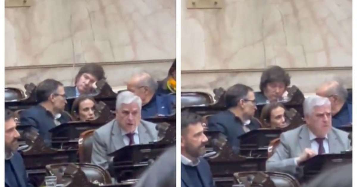 Javier Milei se quedó dormido mientras debatían la reforma del Impuesto ...