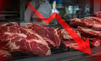El consumo de carne se desplomó 9,5% en agosto y tocó su nivel más bajo en 20 años: los argentinos comen cada vez menos