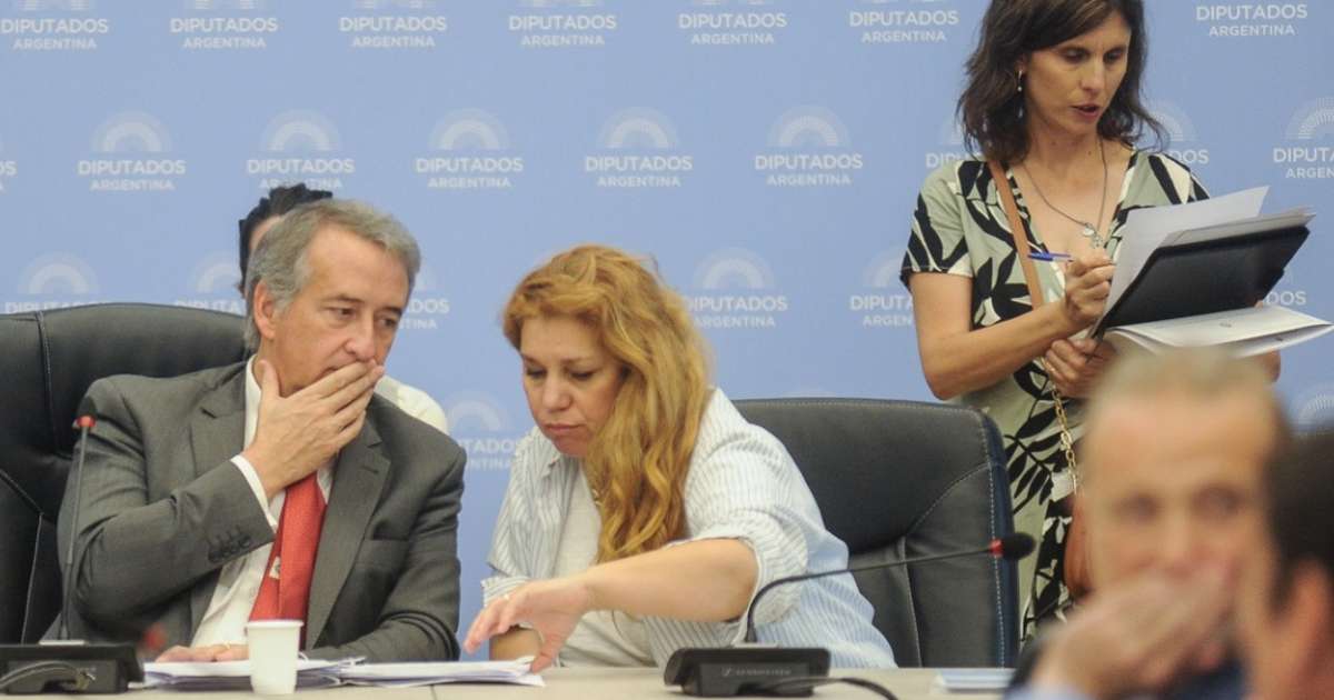 La oposición dio un paso clave para limitar los DNU de Javier Milei