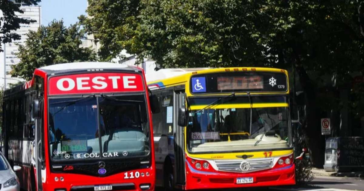 Los diez puntos clave del nuevo sistema de micros que se licitará en La ...