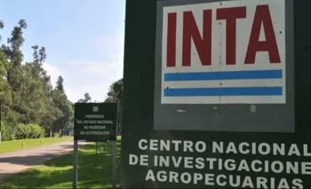 Ajuste al INTA: reducción de puestos de trabajo, venta de tierras y más