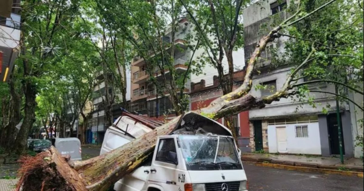 El Fuerte Temporal En El Amba Provocó Cortes De Luz Inundaciones Caída De árboles Y Voladura 5945