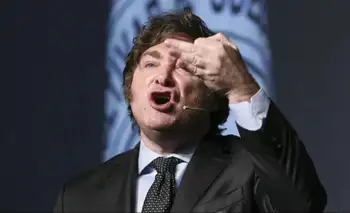 El Gobierno apelará el fallo que obliga a aplicar la Ley de Emergencia en Discapacidad